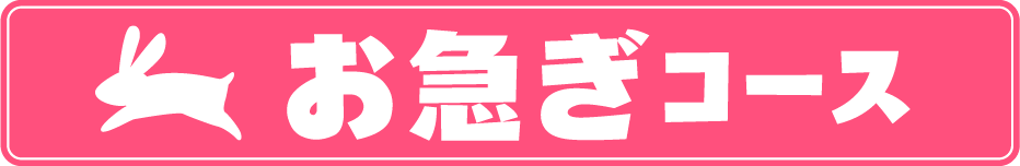 お急ぎコース