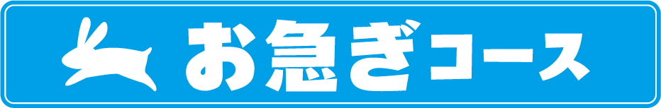 お急ぎコース