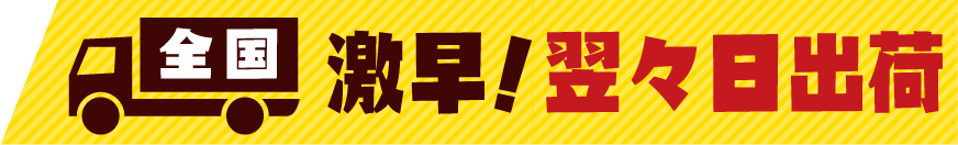 全国 激早!翌々日出荷