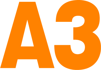 A3
