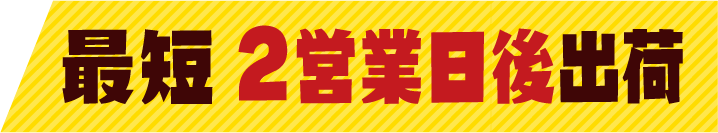 最短 2営業日後出荷
