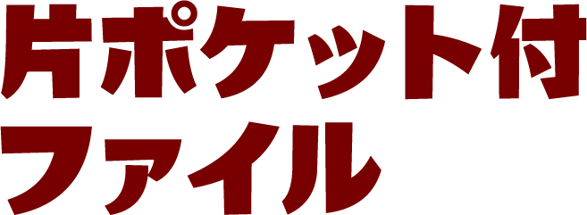 片ポケット付ファイル